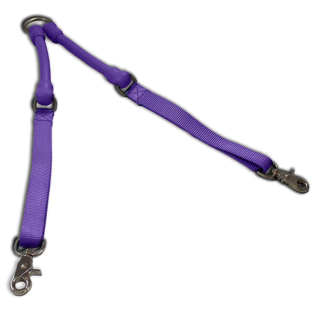 2 Dogs on 1 Leash - CRAZYcoupl'r
