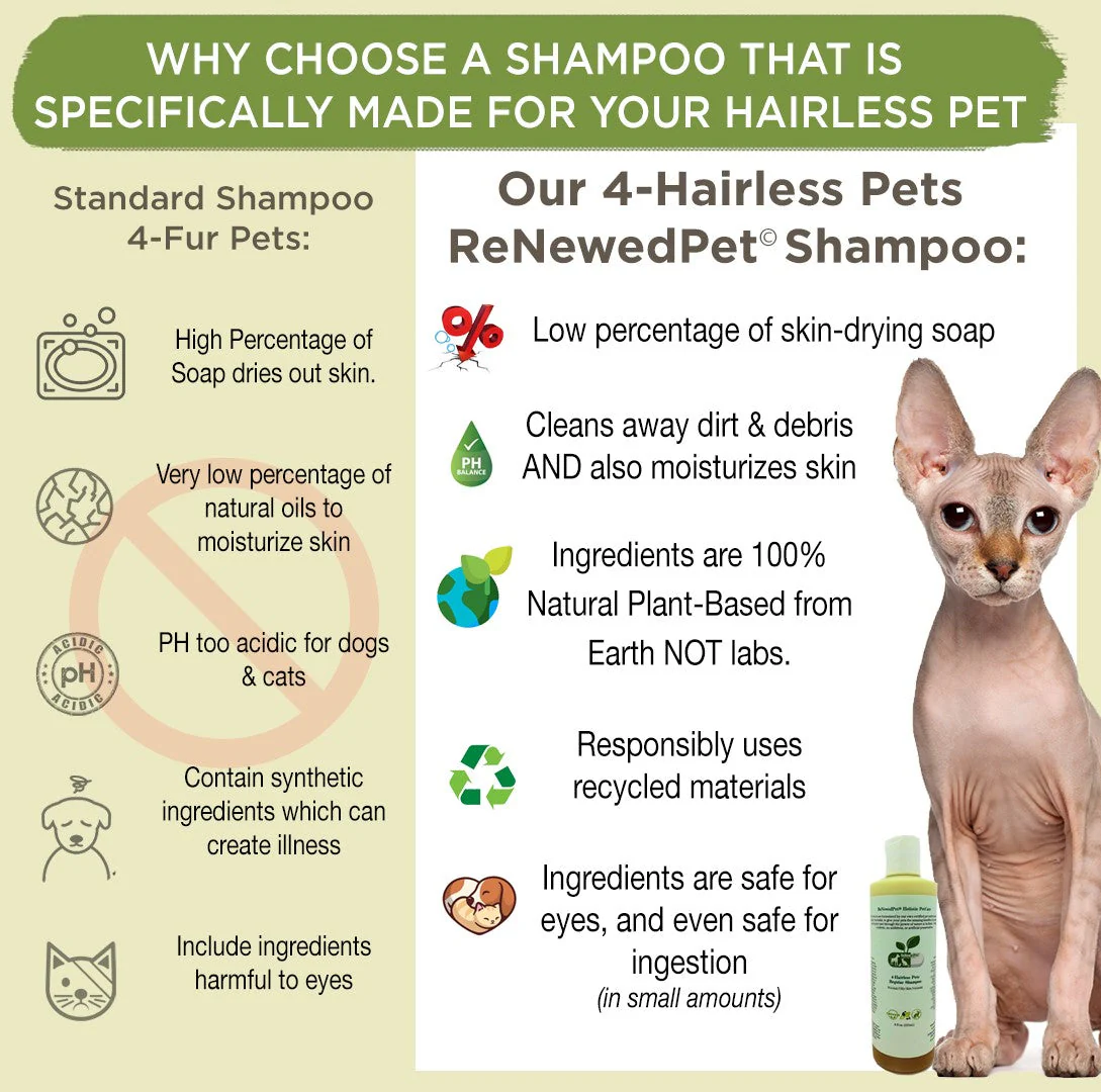 4-HAIRLESS PETS REGULAR WATERLESS SHAMPOO - Image 2