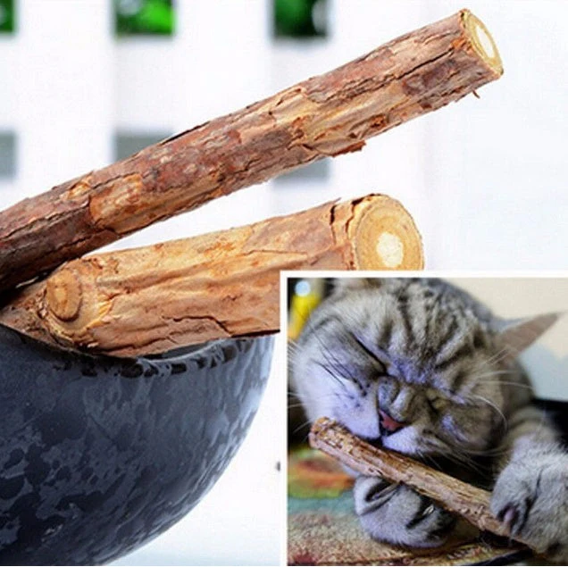 5 PCSMatatabi Toys Catnip Chew Toy for Pet Kitten - Image 2