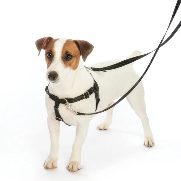 Adopt Me Freedom No-Pull Dog Harness – EarthStyle - Image 4