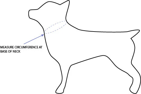 'Andy' Reversible Pet Bandana - Image 5