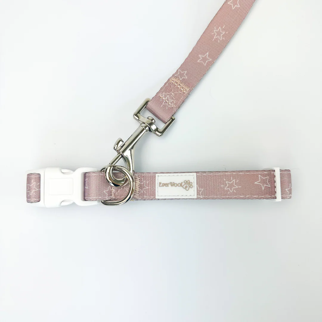 Asteria Collar - Image 4