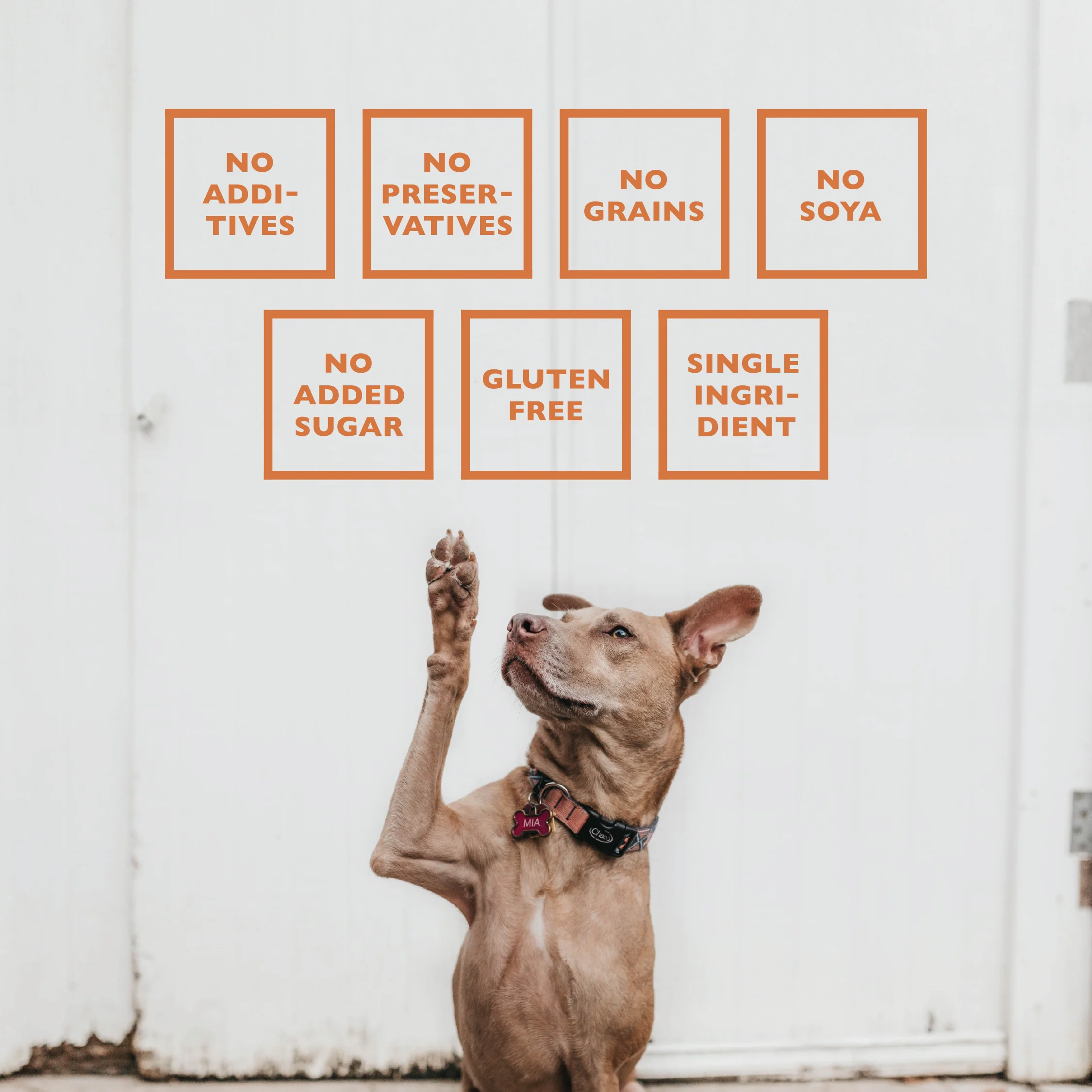 BAFFS NATURALS Lamb Lung Training Bites – All-Natural, Protein-Packed Dog Treats (7oz Bag) - Image 6