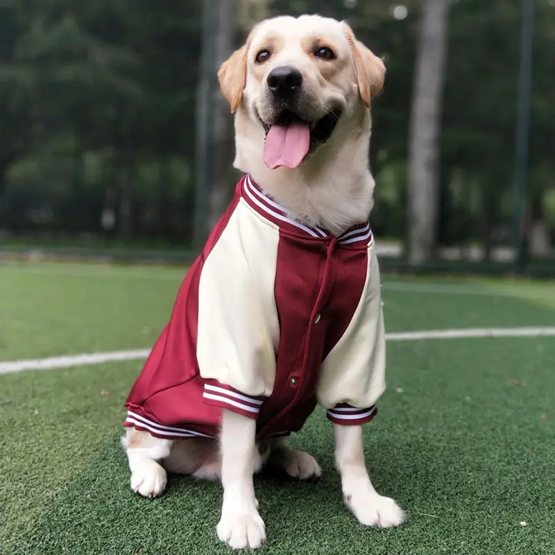 Big Dog Baseball Suit - Image 2