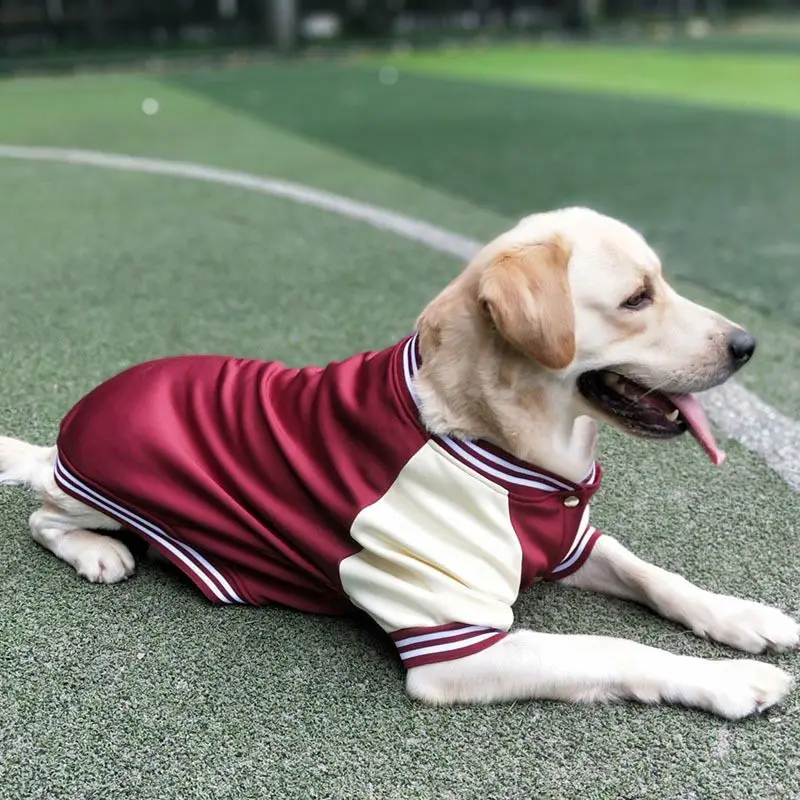 Big Dog Baseball Suit - Image 22