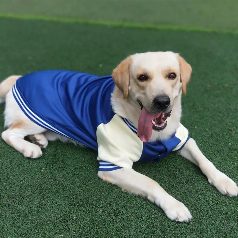Big Dog Baseball Suit - Image 9