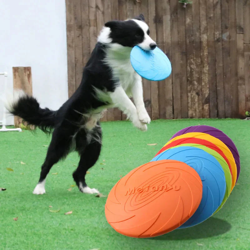 Bite-Resistant Dog Flying Disc Toy – Durable Plastic Frisbee for Outdoor Play & Puppy Training