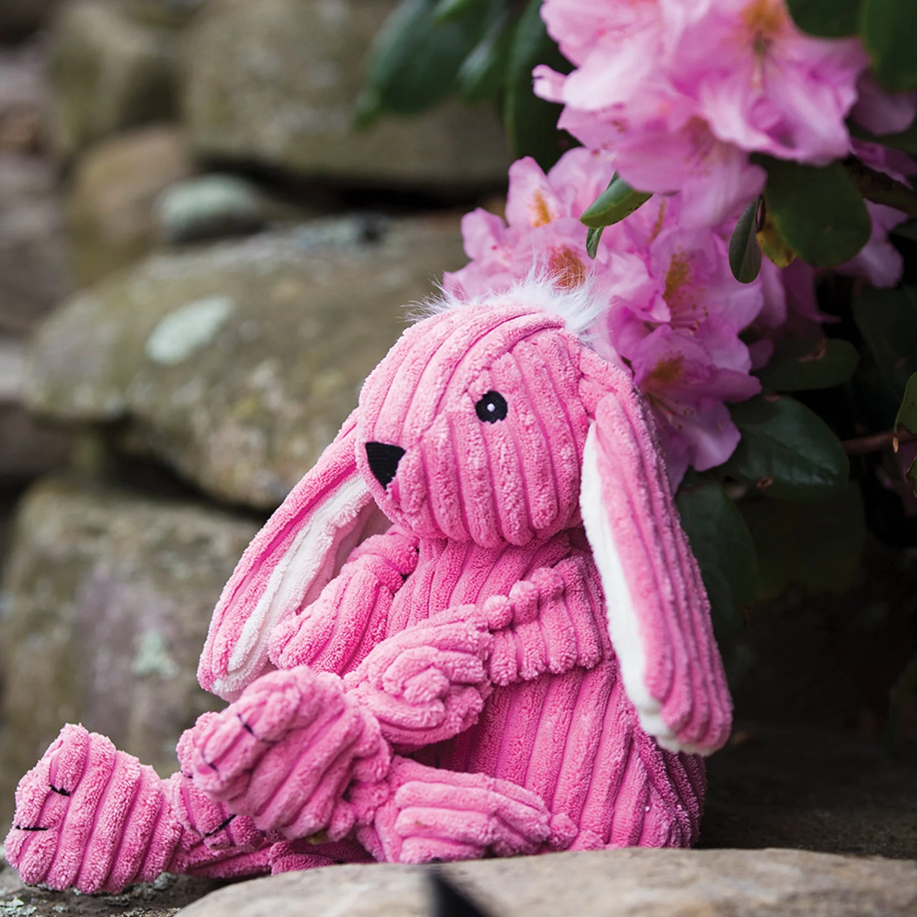 Bitsy Bunny Knottie® Plush Dog Toy - Image 10
