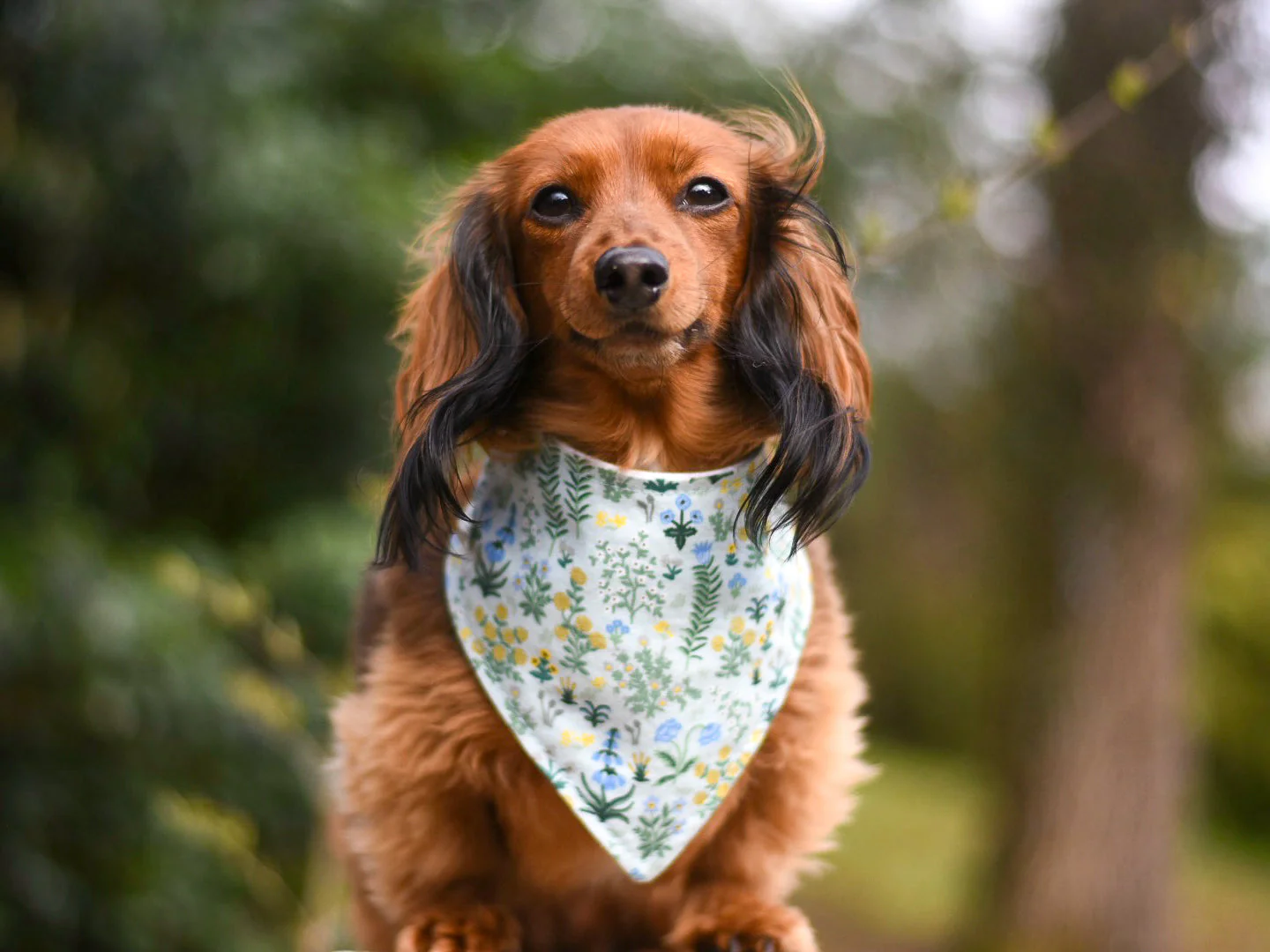 "Black Poppy" Dog Bandana - Image 7