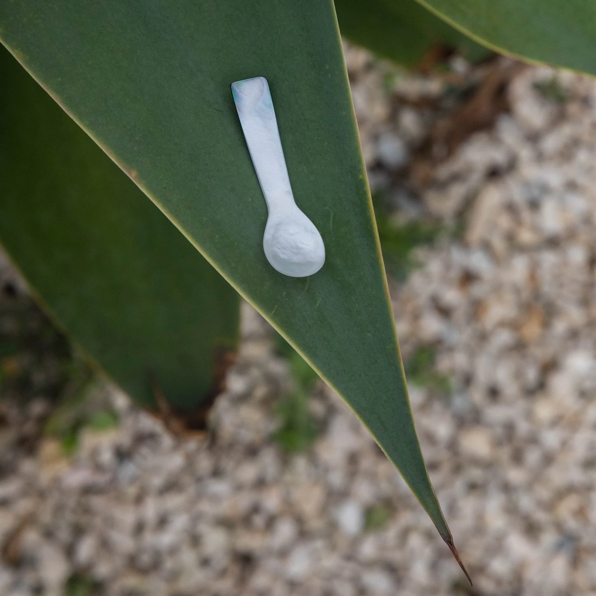 Body Butter + Mother of Pearl Spoon - Image 6