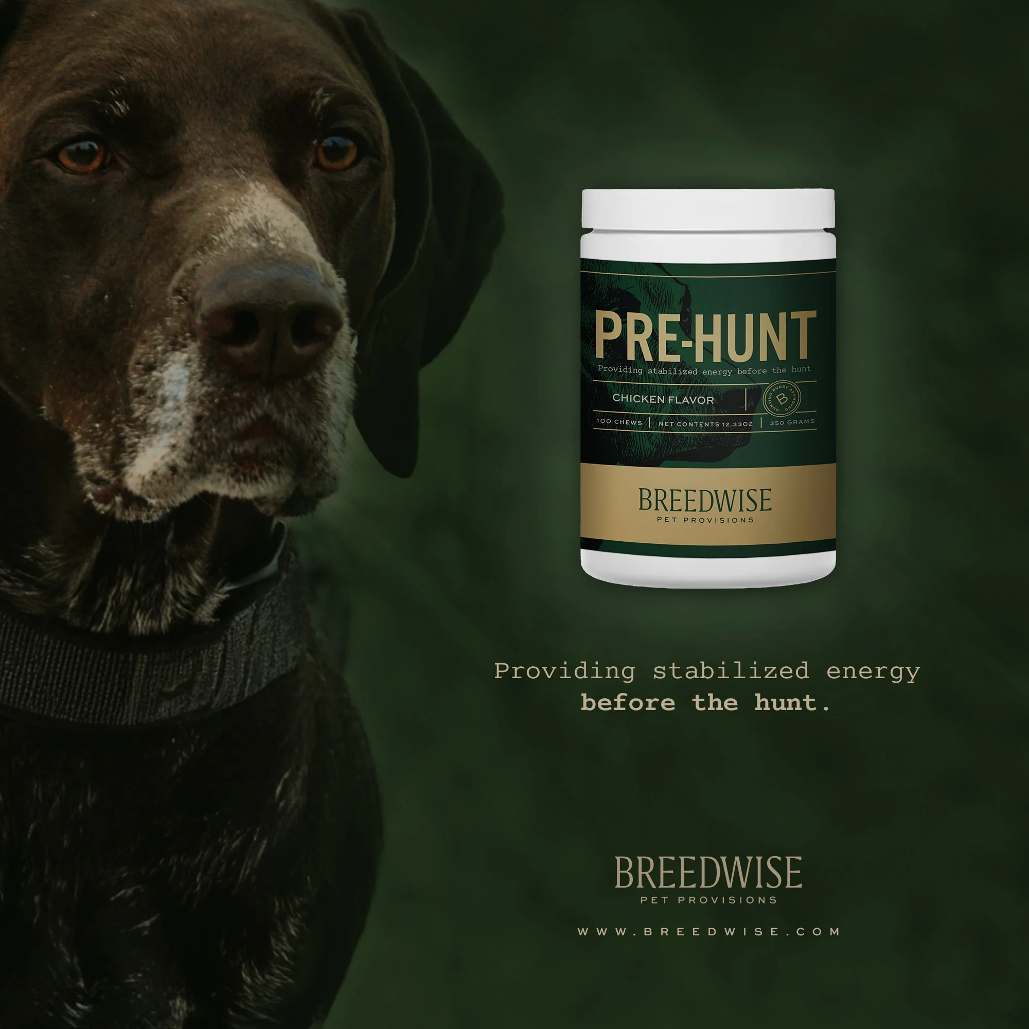 Breedwise Pre & Post-HUNT Soft Dog Chews - Bundle - Image 3