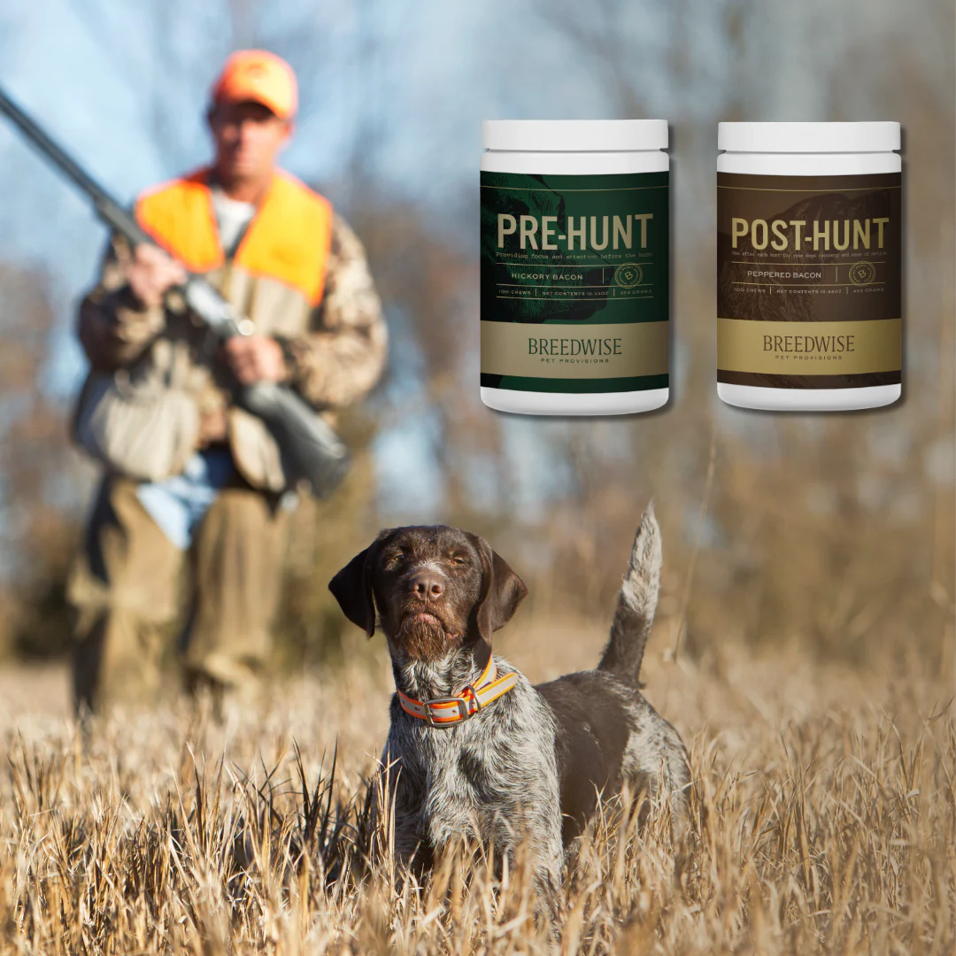 Breedwise Pre & Post-HUNT Soft Dog Chews - Bundle - Image 5