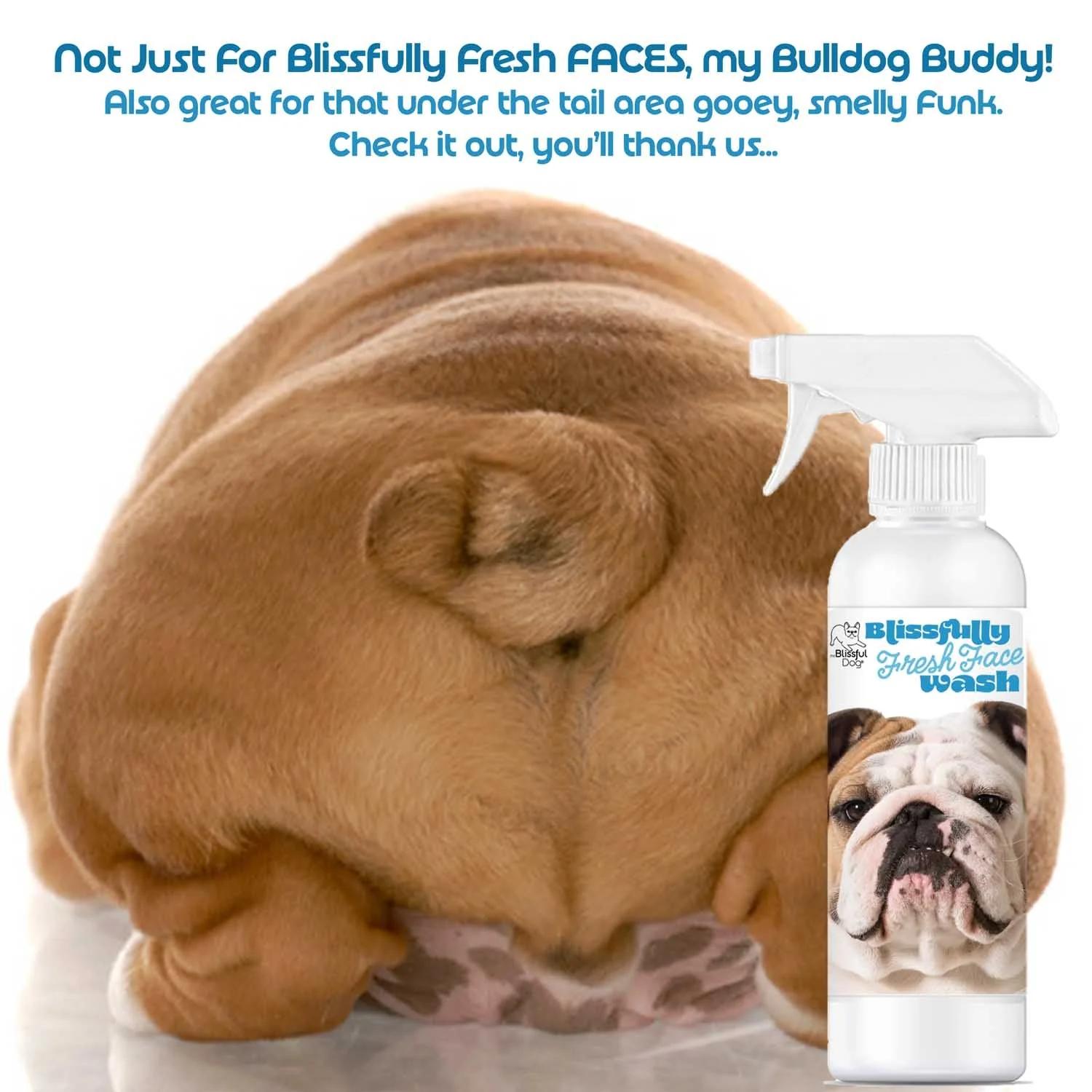 Bulldog Blissfully Fresh™ Face Wash - Image 6
