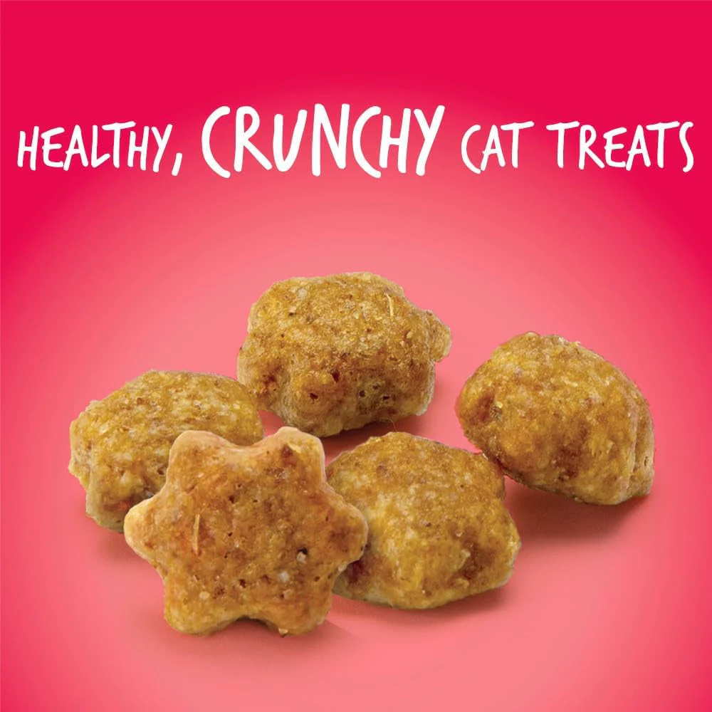 Cat Crunchy Treats made with salmon - Image 7