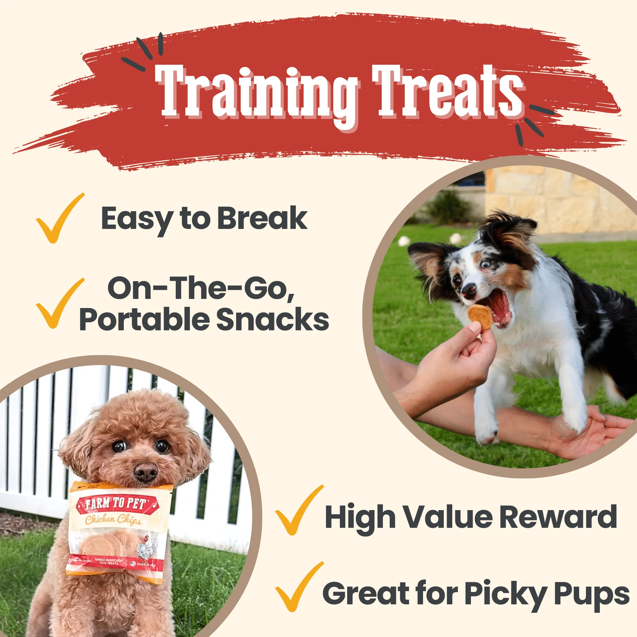 Chicken Chips Snack Pack Bundles | Dog Party Favors & Training Treats - Image 14