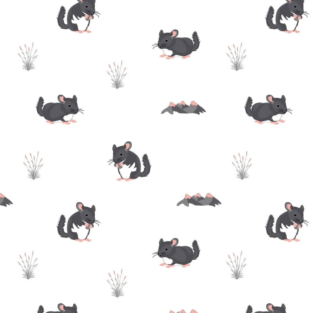 Chinchilla | Snap Romper - Image 2