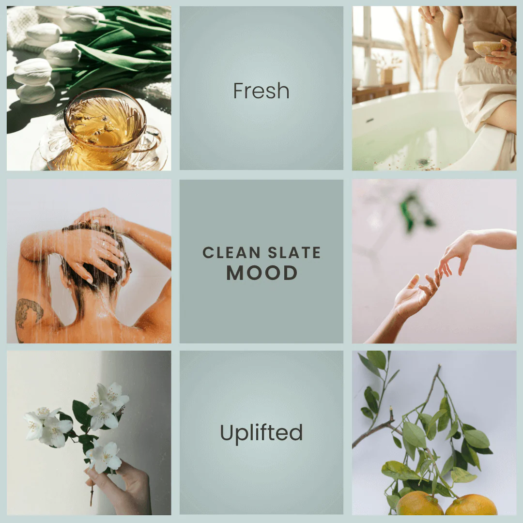 Clean Slate – White Tea & Jasmine Soy Candle - Image 3
