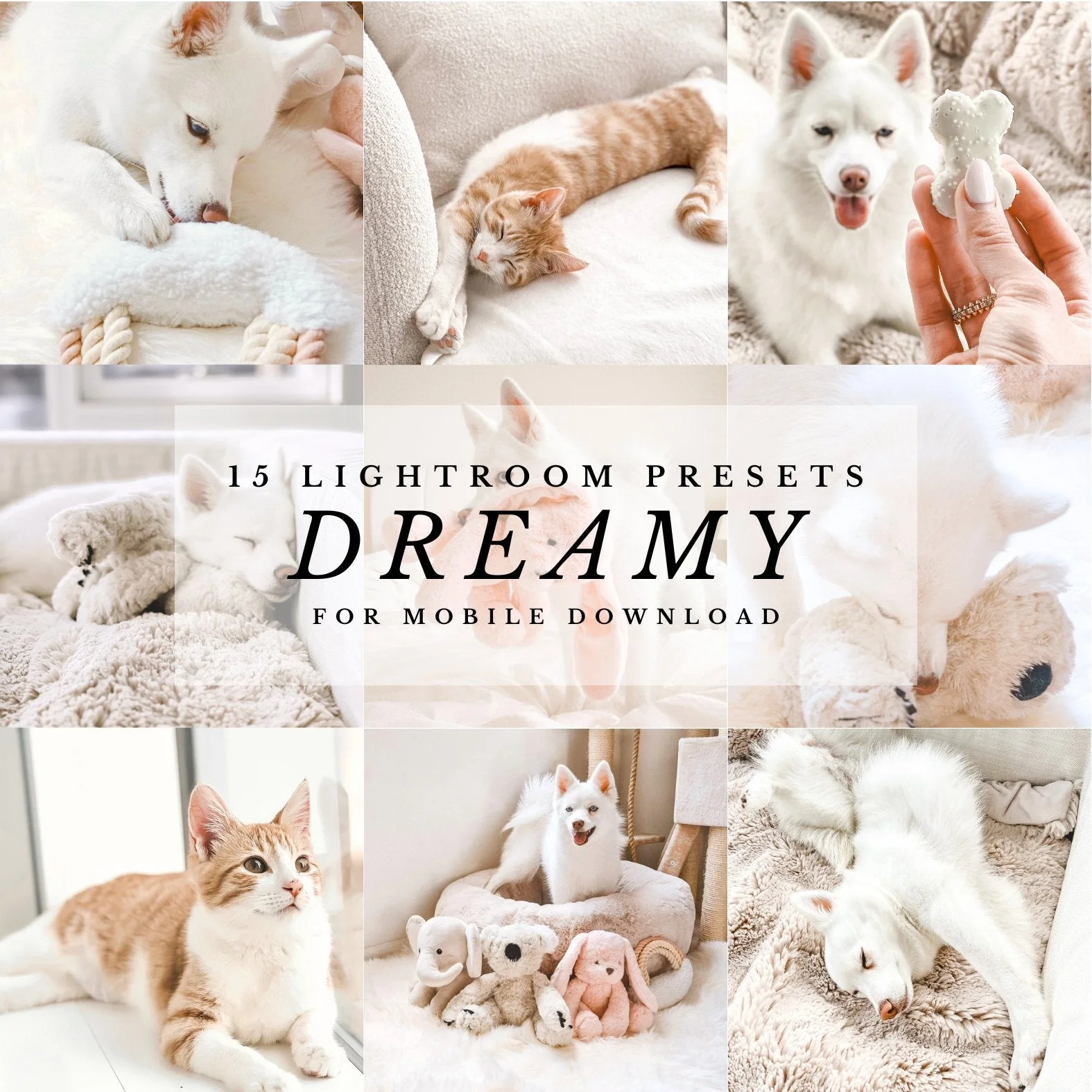 Dreamy Presets
