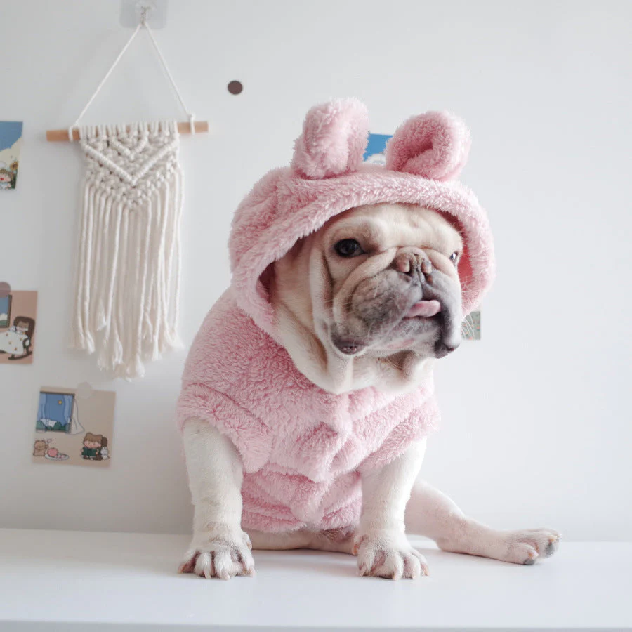Embroidery Cartoon Hooded Pet Vest - Image 5