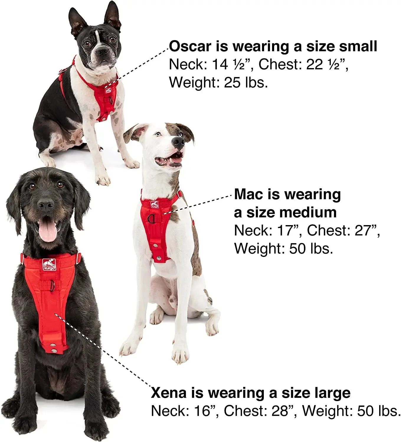Enhanced Strength Tru-Fit Dog Car Harness - Crash Tested for Safety - Broad Chest Plate - All Steel Nested Buckles - Includes Seatbelt Tether - Red - Medium - Image 5
