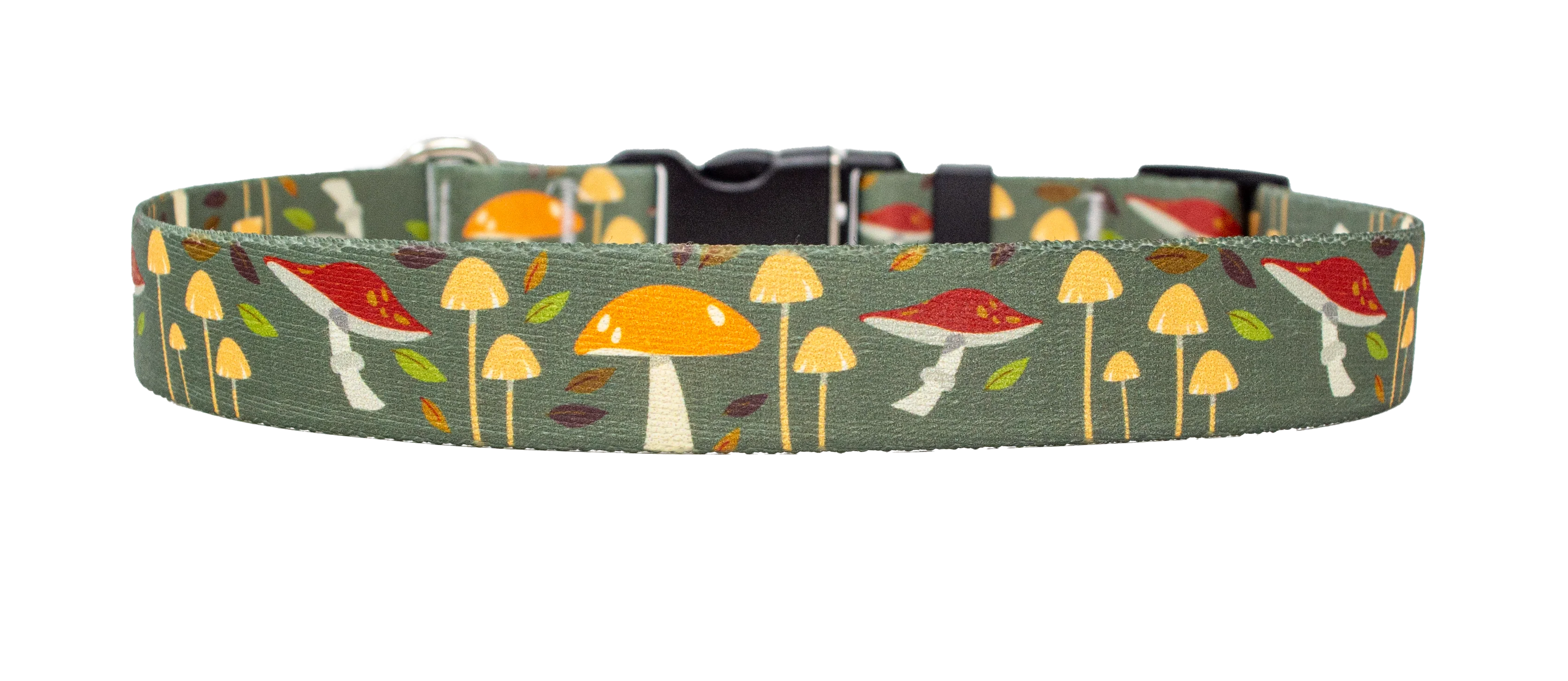 Forest Floor Dog Collar