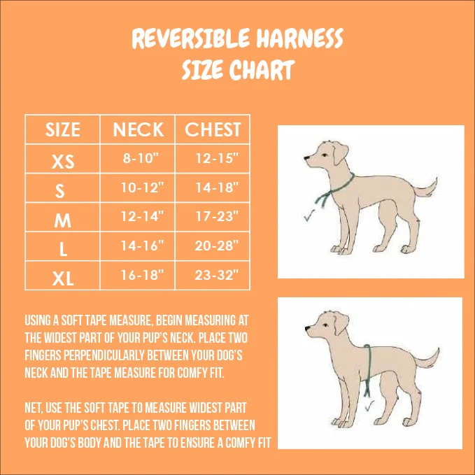 Frootie Patootie Reversible Harness - Image 7