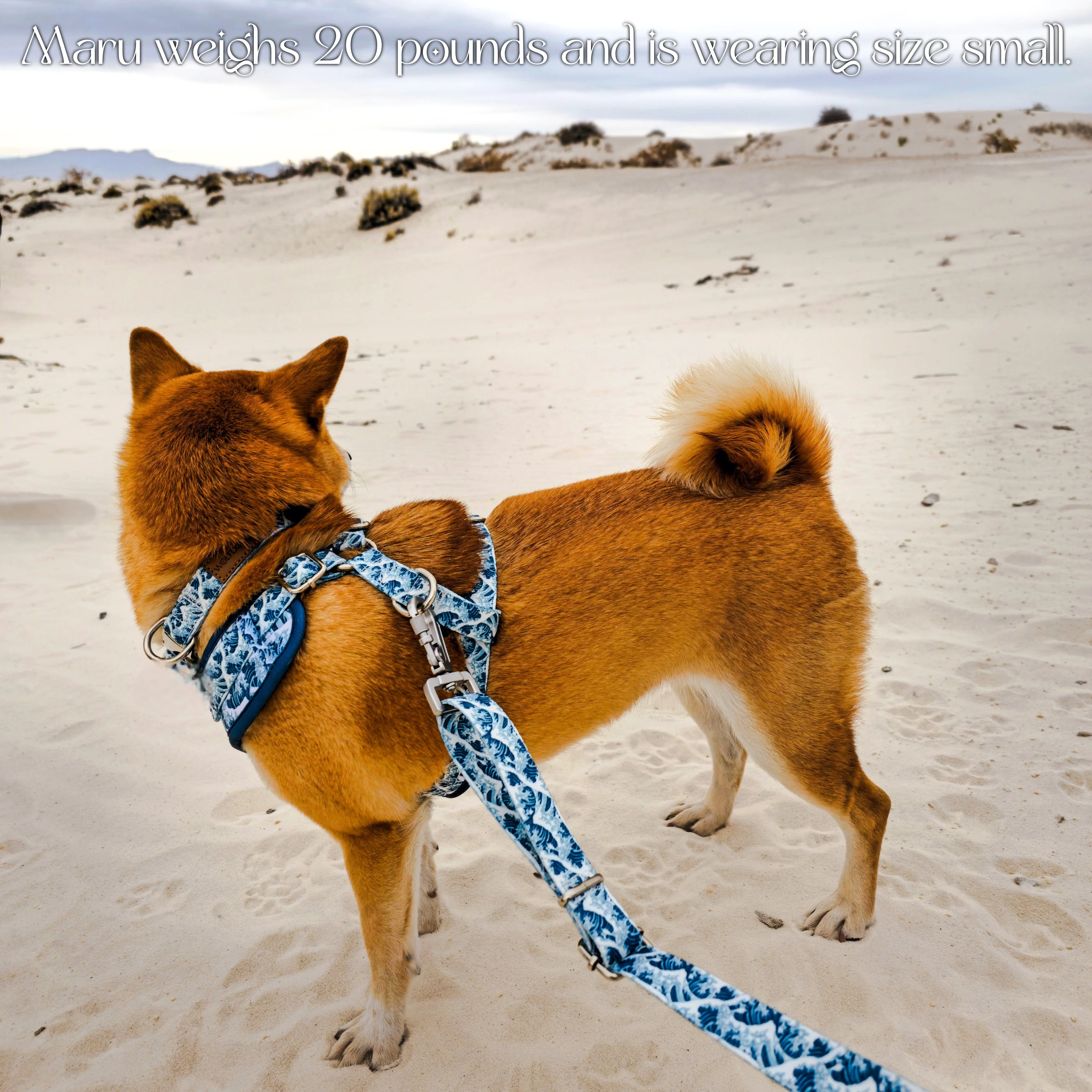 Great Wave Collar - Image 4