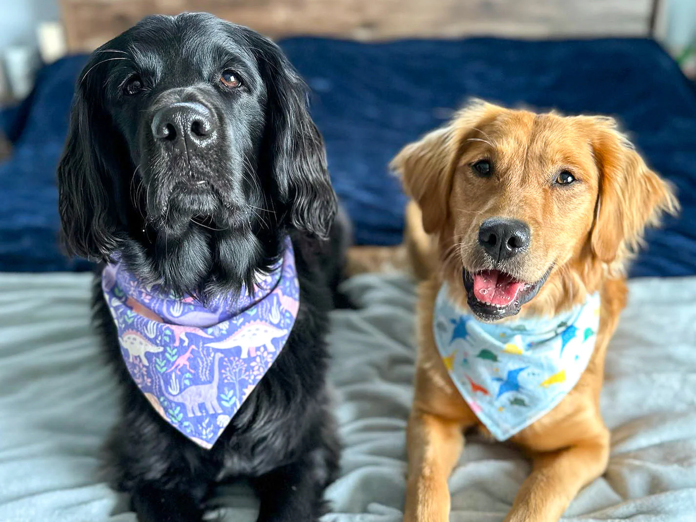 "Green Fair Isle" Dog Bandana - Image 4