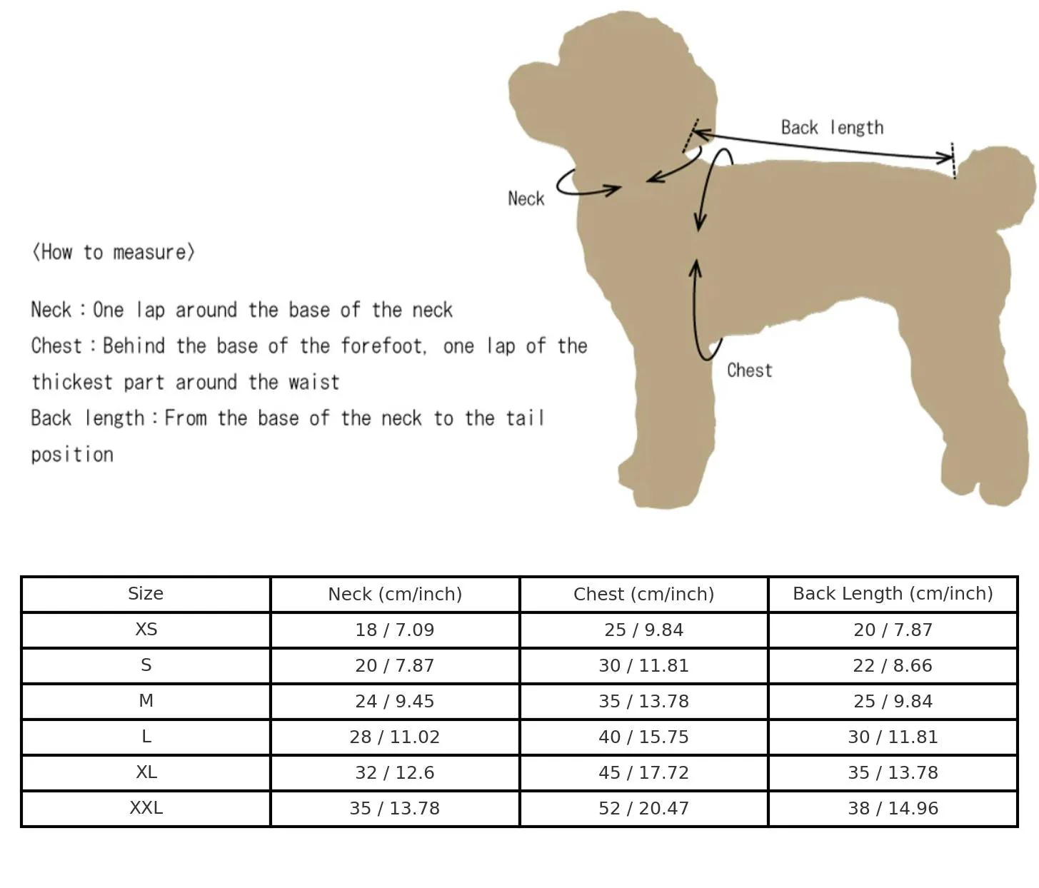 Handmade Regal French Court Dog Clothes Tailcoat Luxury Pet Suit With Shirt Lace and Gold Detailing - Image 3