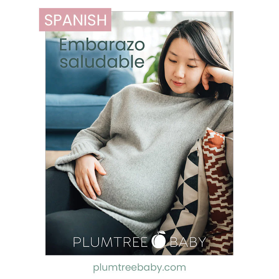 Healthy Pregnancy Booklet - Image 4