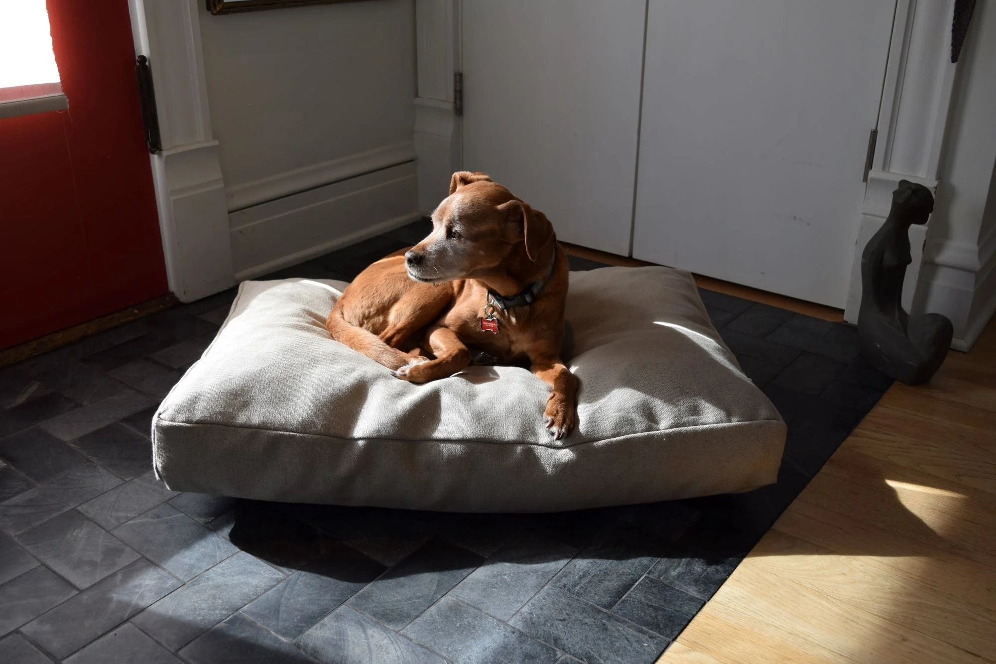 Hemp Dog Bed Covers Only - No Fill - Image 3