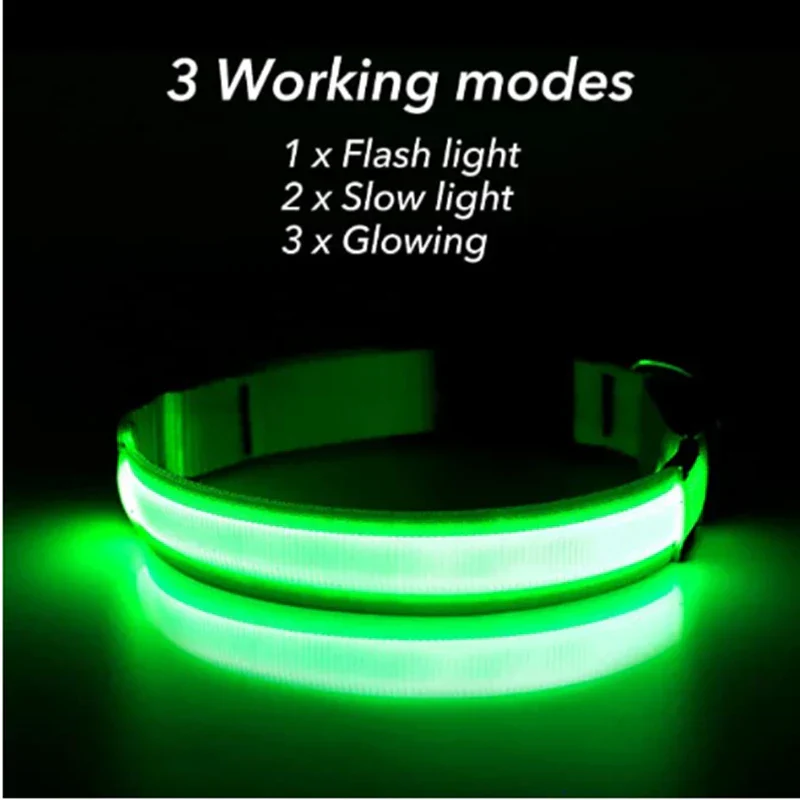 LED Pet Dog Collar for Night Safety | Bright USB Rechargeable - Image 4