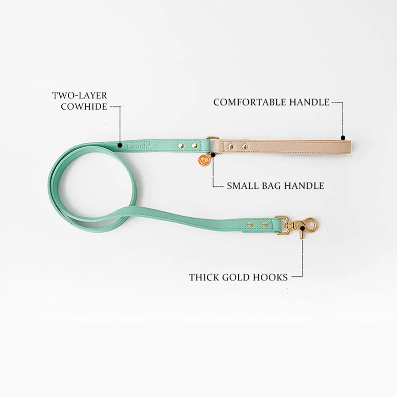 Luxury Two-Layer Cowhide Dog Leash – Comfortable Handle, Gold Hardware 4 Colors