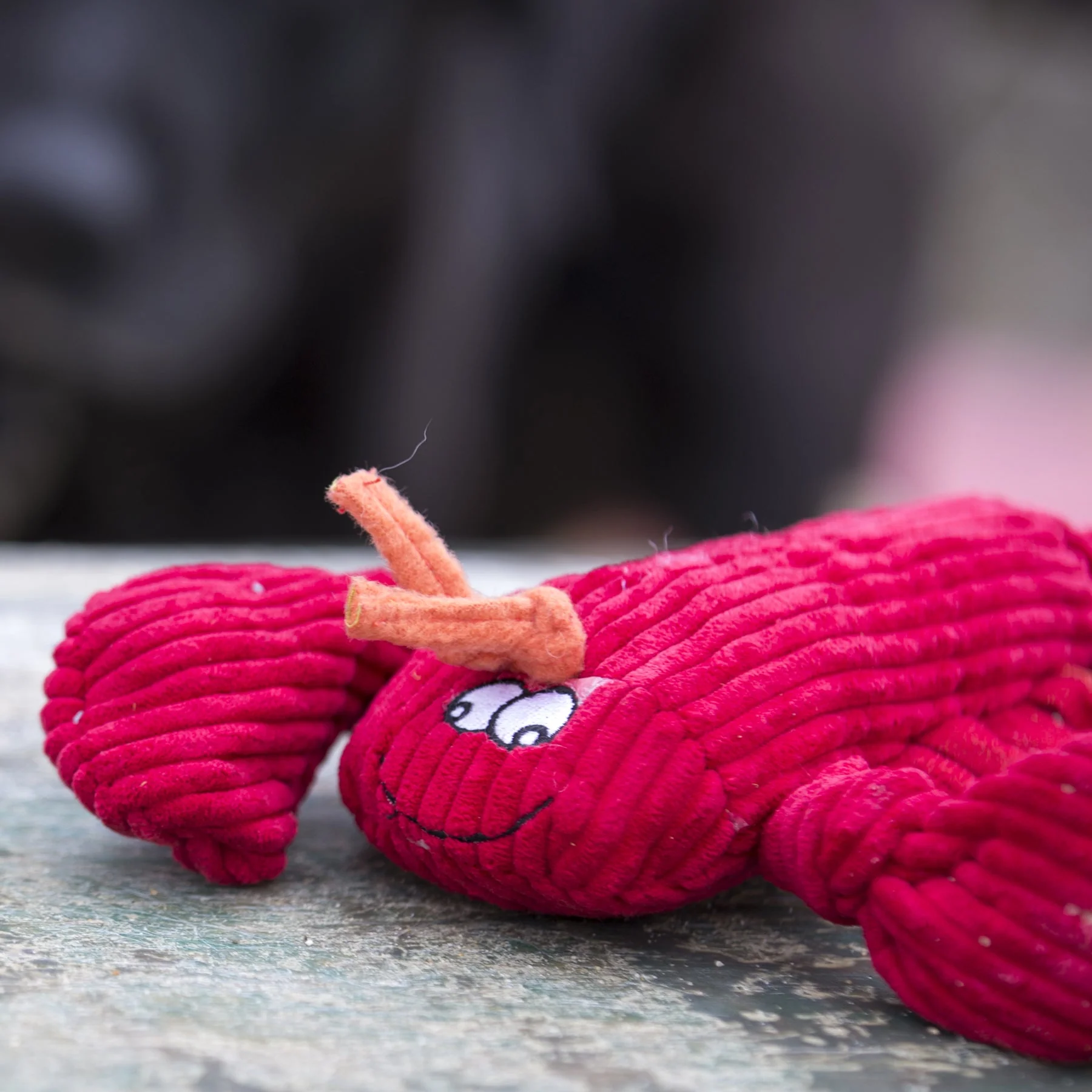 McCracken Lobsta™ Knottie® Plush Dog Toy - Image 8