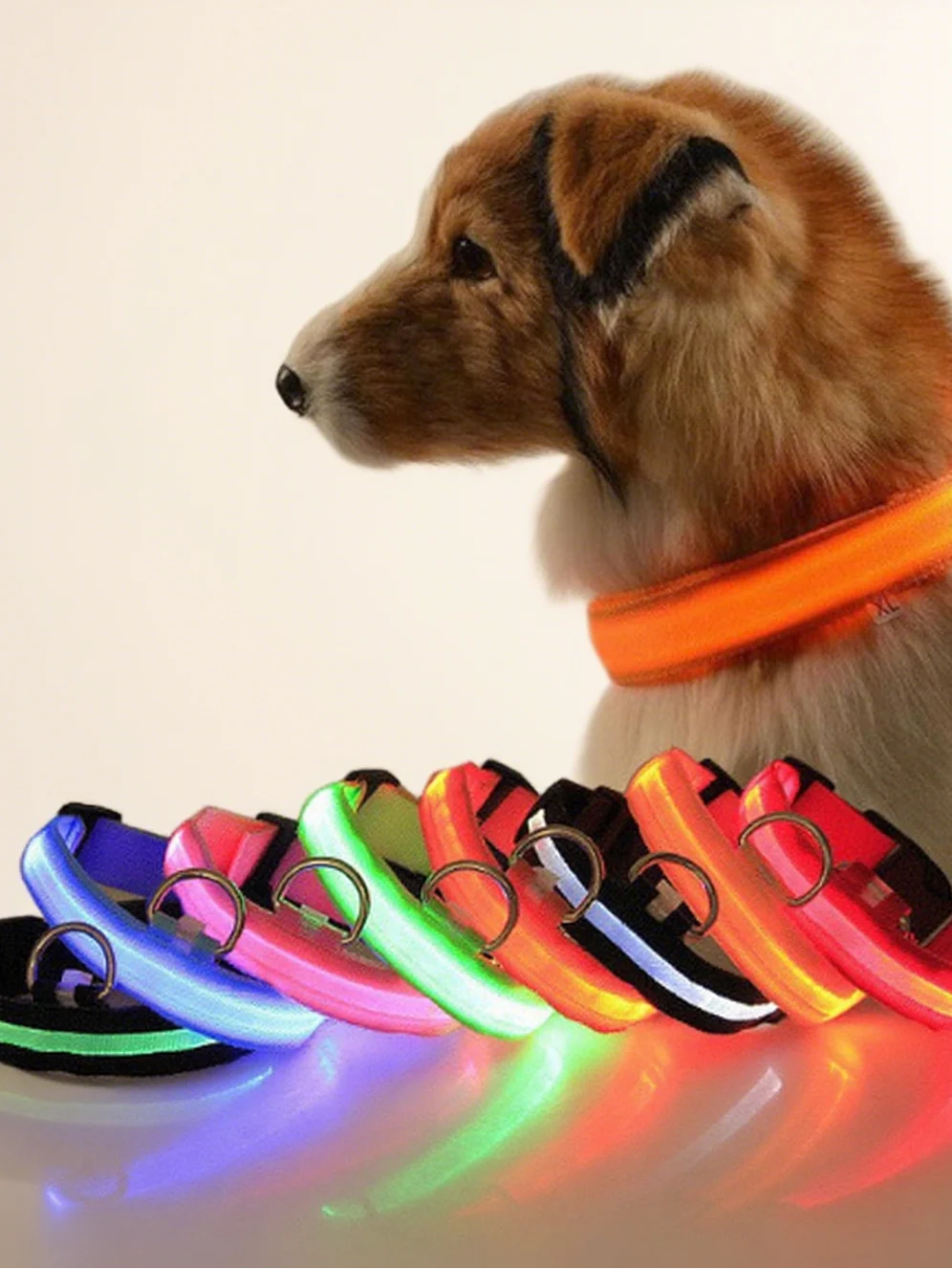 Milou & Lumi LED Glowing Pet Collar - Yellow - Image 2