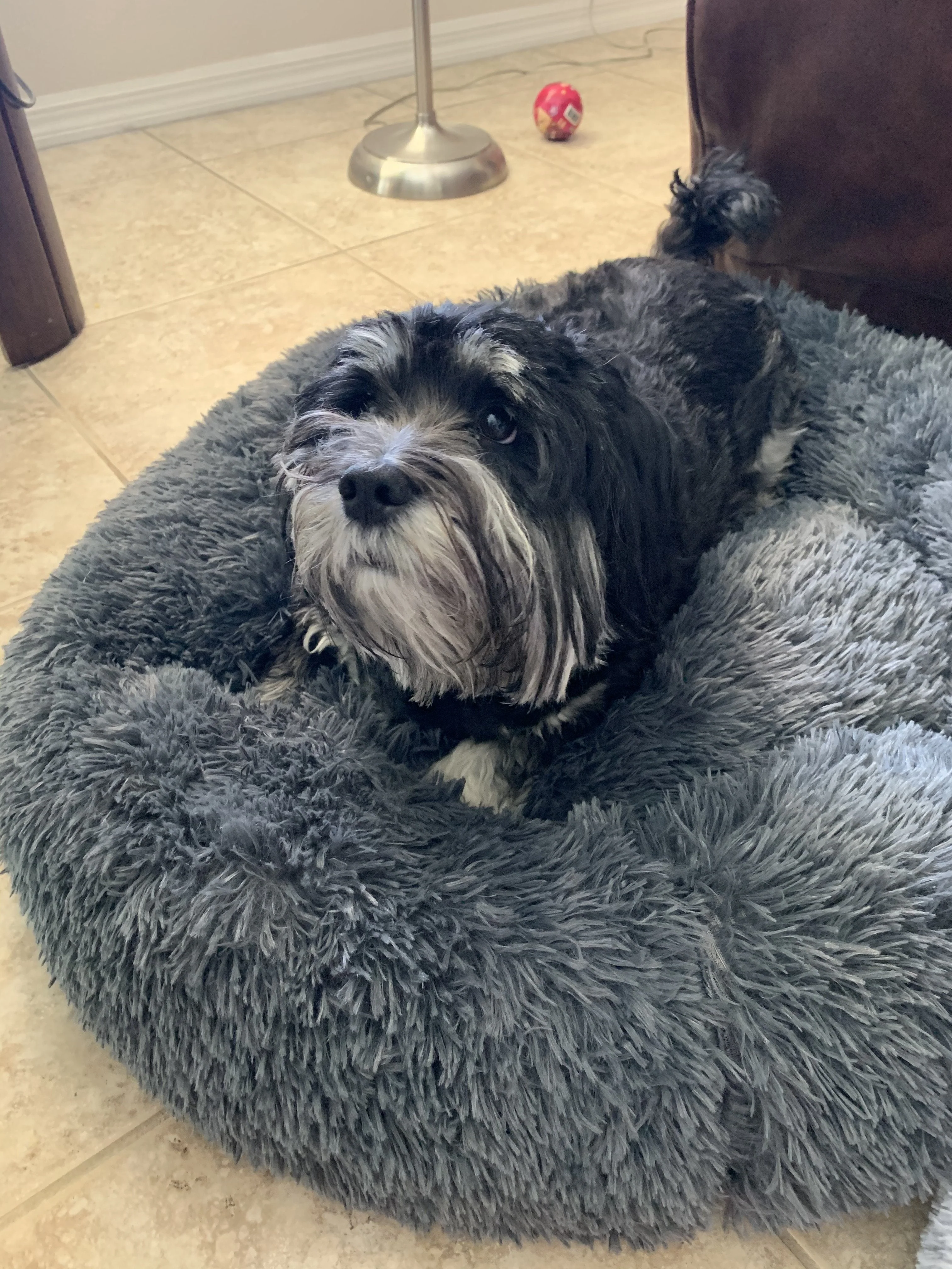 Mr. Peanut's 28" OrthoPlush® Pet Bed - Snowflake White Two Tone - Image 20