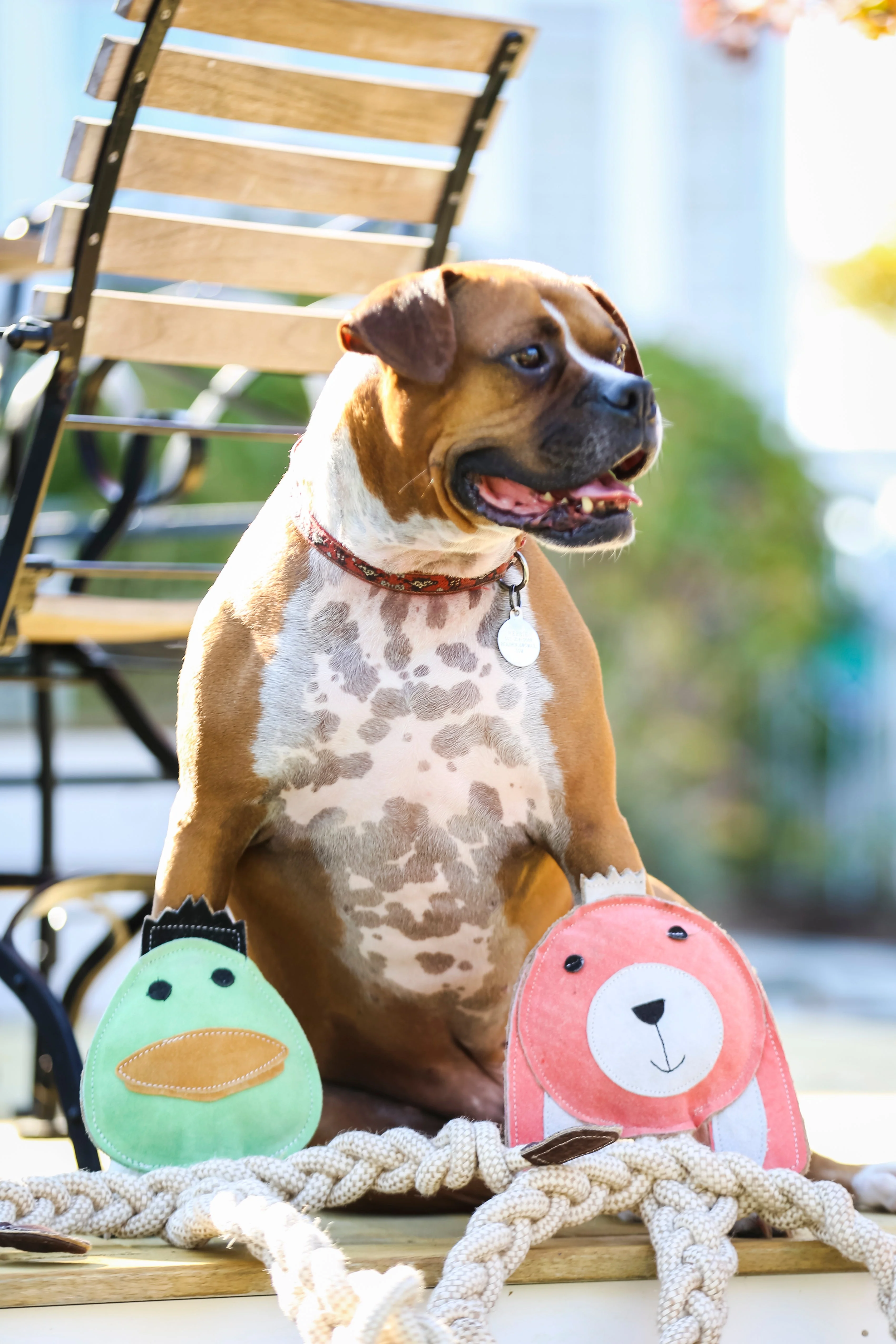 Natural Rope Knottie® Dog Toys, 3 Pack, XL (16mm rope diameter) - Image 10