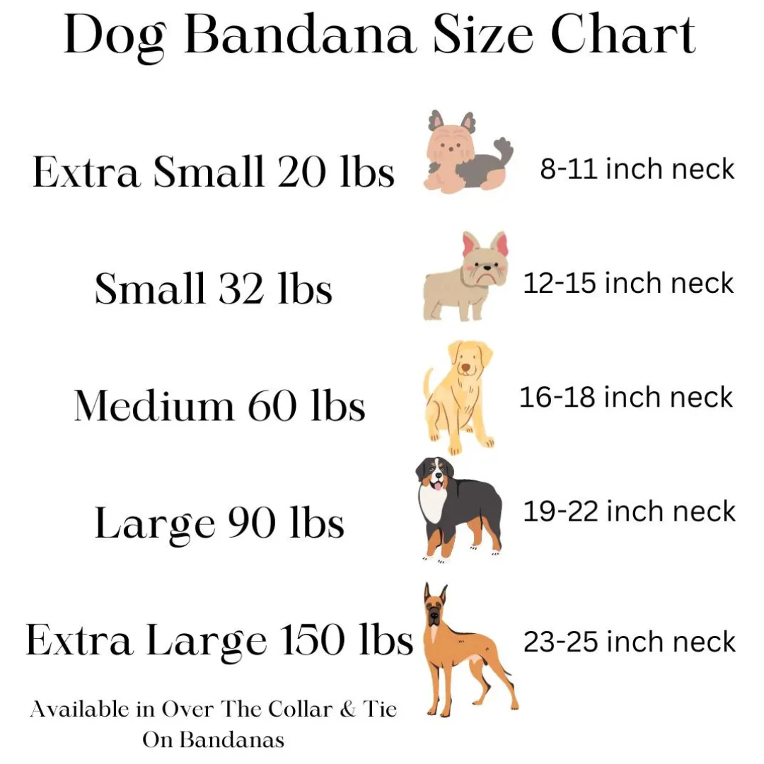 Nautical Dog Bandana New Arrivals - Image 5