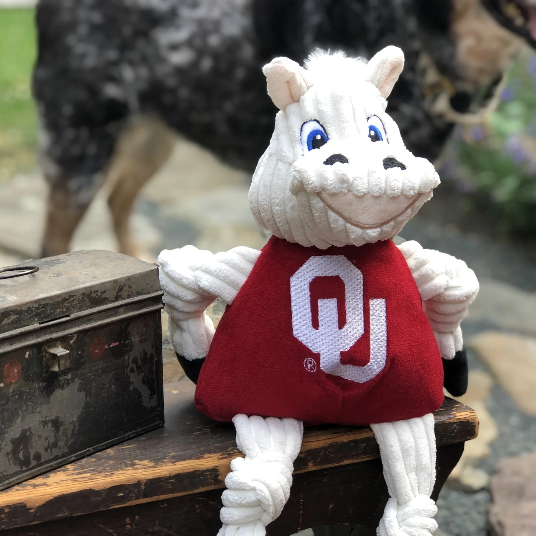 NCAA University of Oklahoma, Sooner Knottie® Plush Dog Toy - Image 5