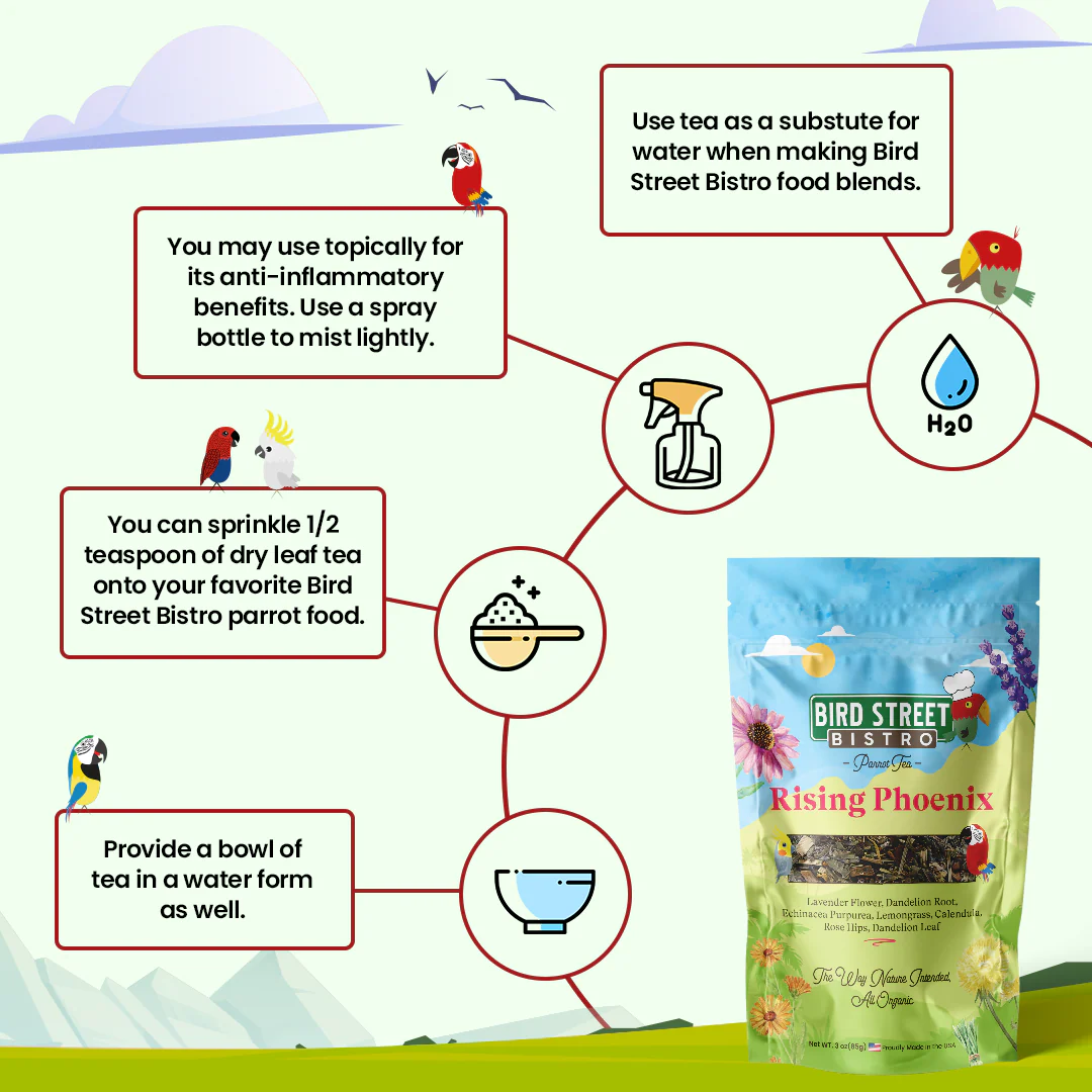 Parrot Tea Bundle Pack - Image 2