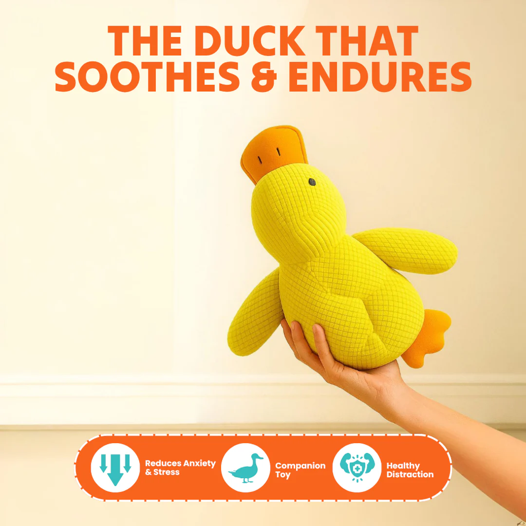 Paw Bounds™ Durable Calming Duck - Image 2