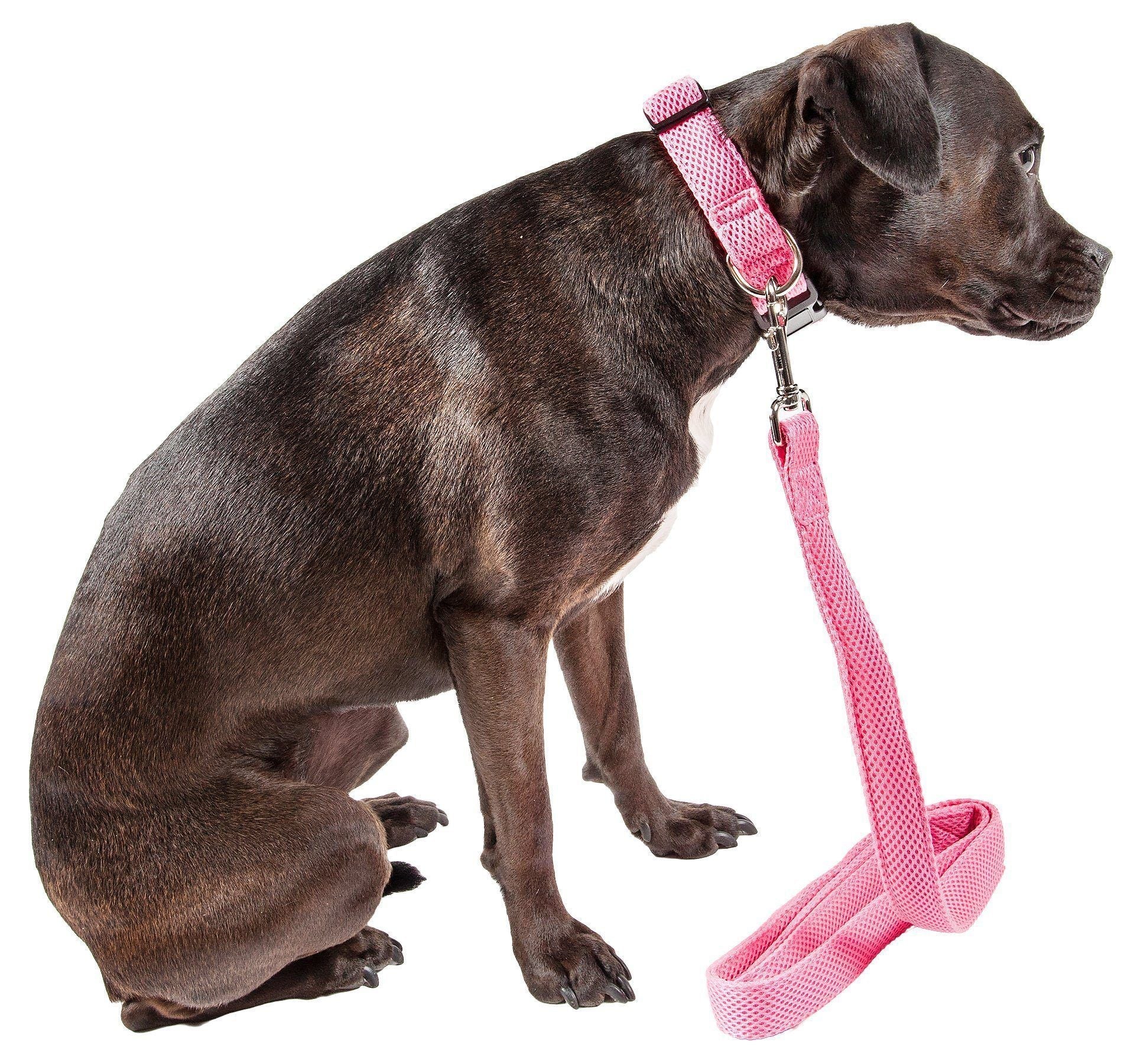 Pet Life ® 'Aero Mesh' Breathable and Adjustable Dual Sided Thick Mesh Dog Leash - Image 10