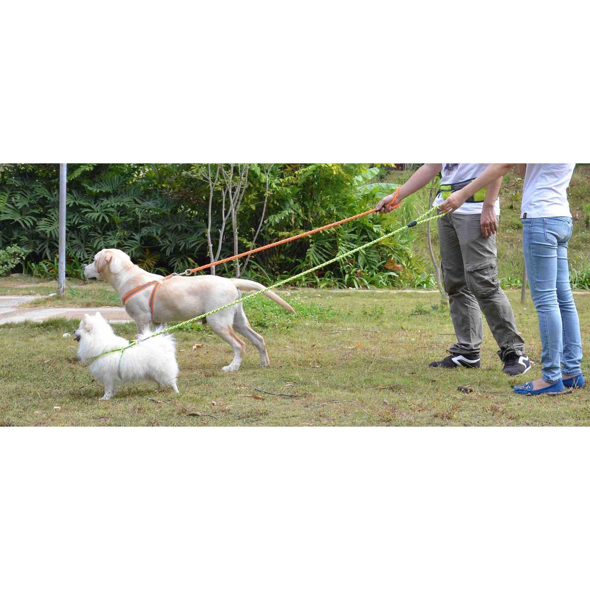 Pet Life ® 'Easy Tension' Reflective Stitched Adjustable 2-in-1 Pet Dog Leash and Harness - Image 3