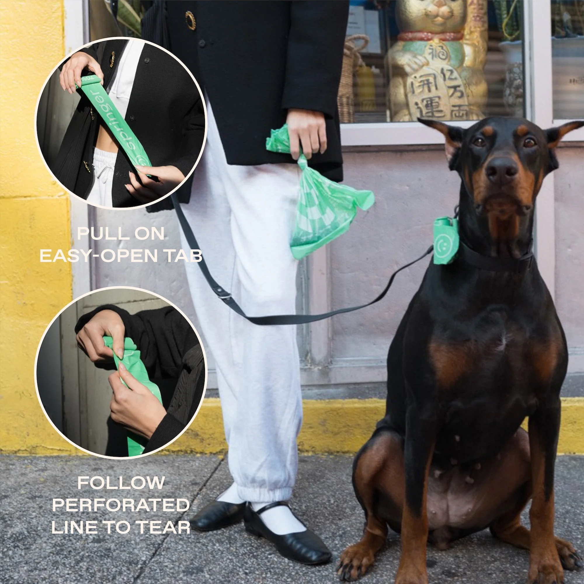 Premium Dog Poop Bag Dispenser + 15 Bags - Image 2