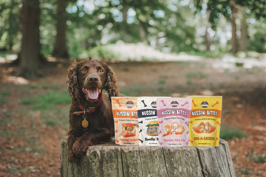 Single Ingredient, High Value Freeze-Dried Training Treats for Dogs & Cats - Beef Liver - Image 6