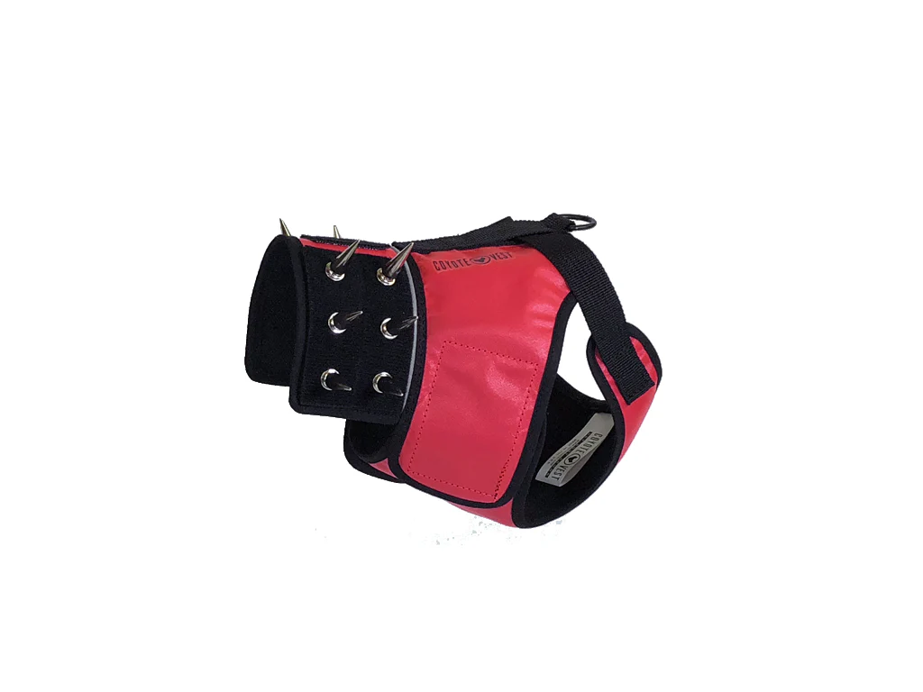 SpikeHarness - Image 16