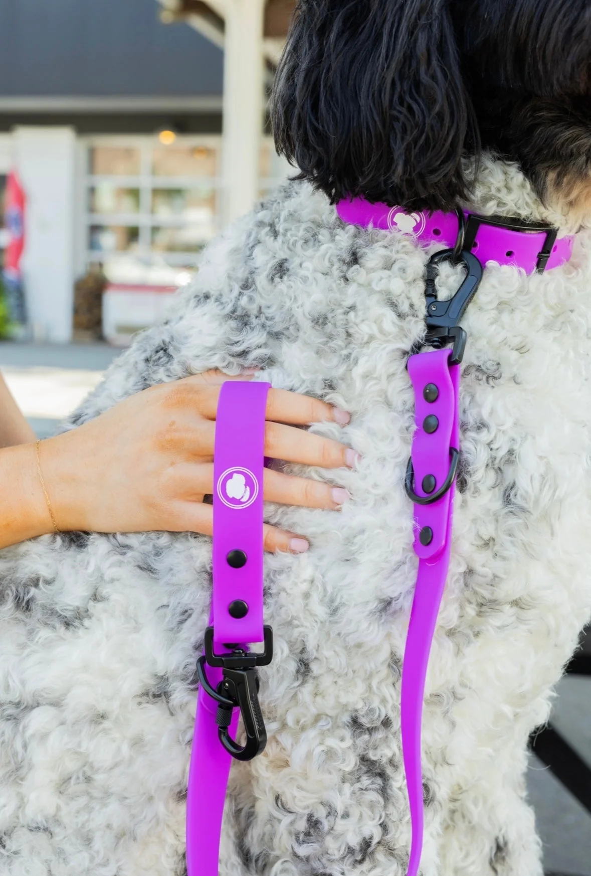 The Modern Dog Company - Electric Fuchsia Collar (Weather + Odor Resistant) - Image 5