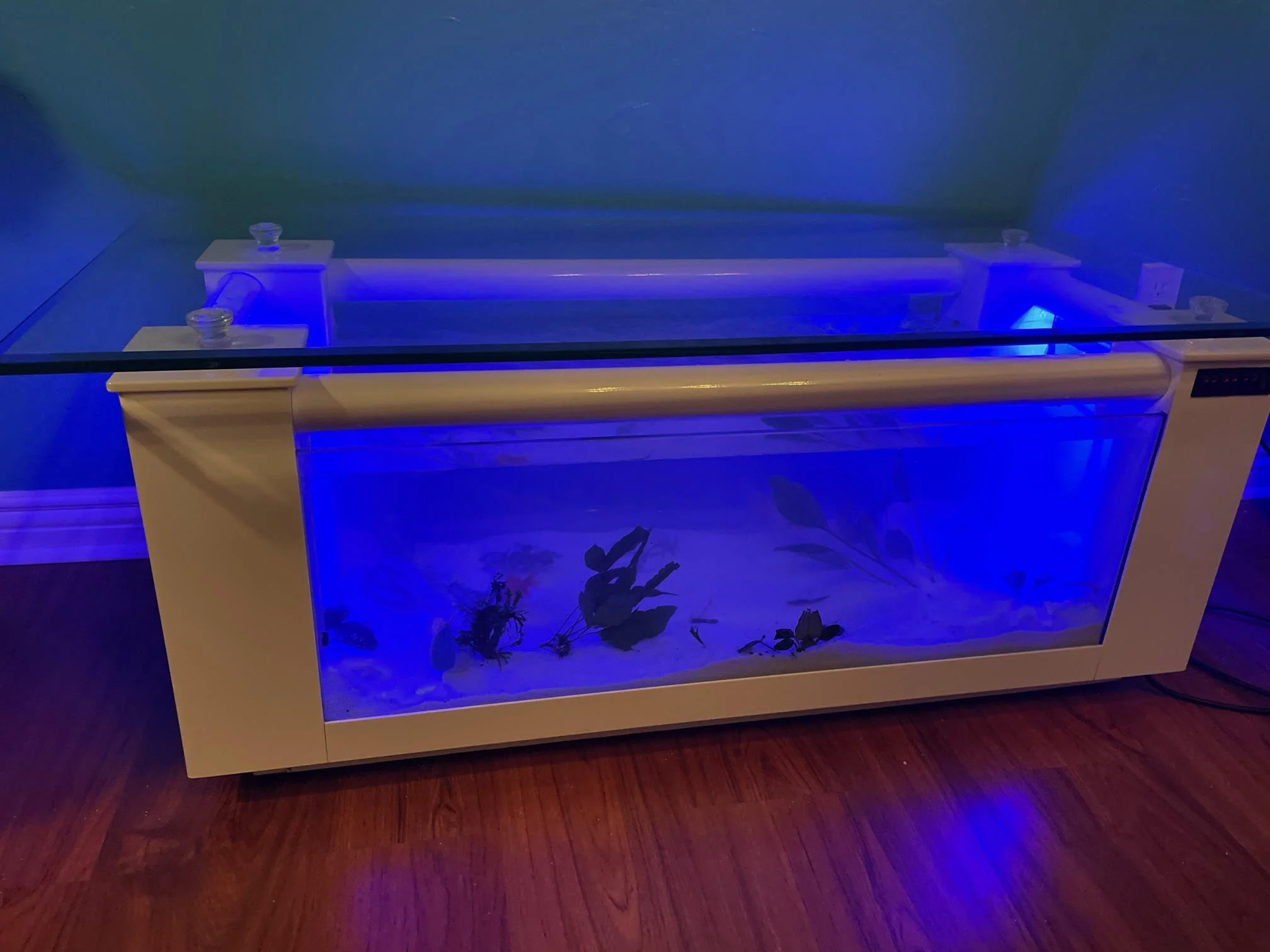 WARRANTY INCLUDED! 45 gallon GLASS rectangle table aquarium fish tank full setup - Image 2