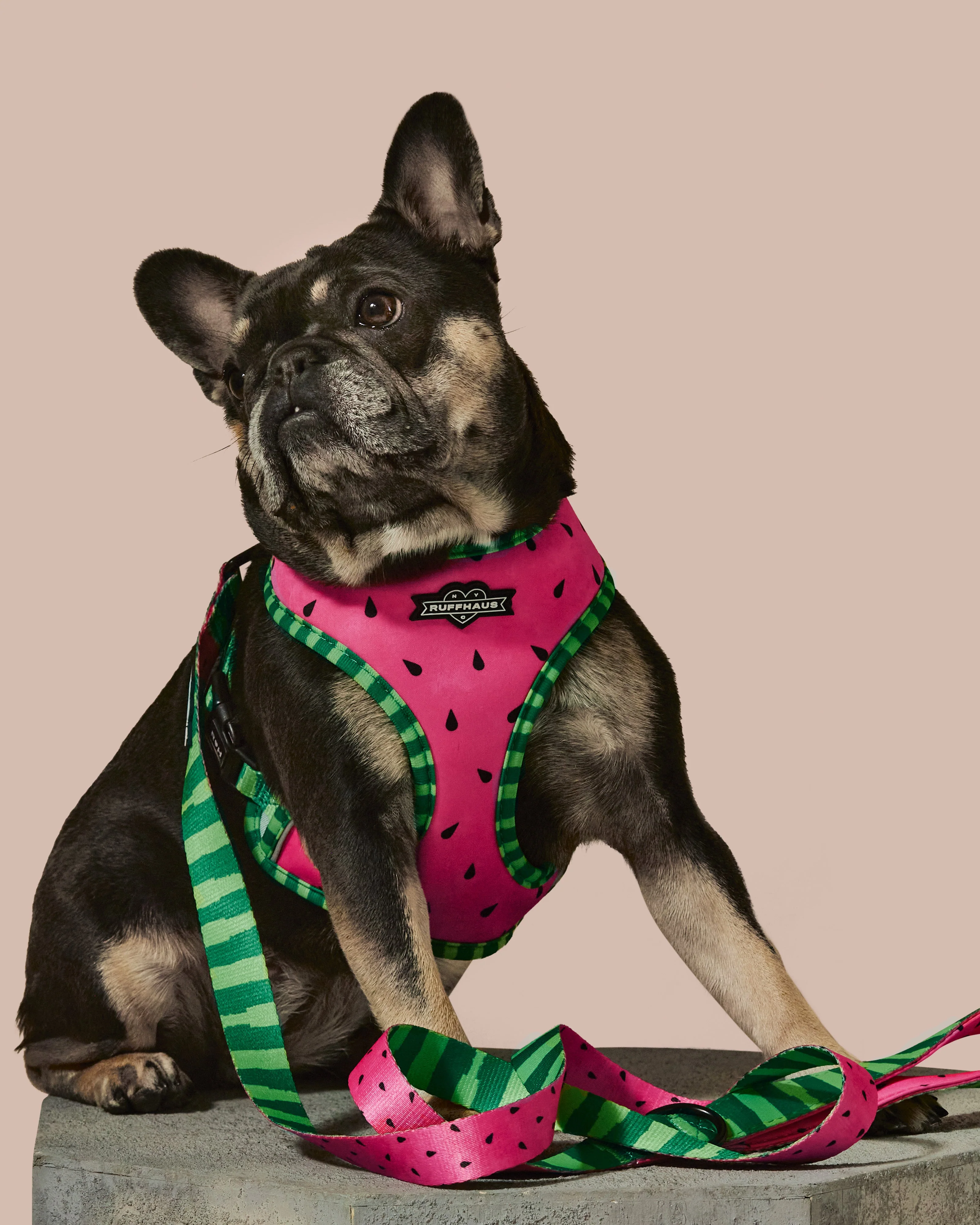 What-A-Melon Reversible Harness - Image 4